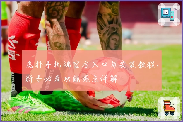 虎扑手机端官方入口与安装教程，新手必看功能亮点详解