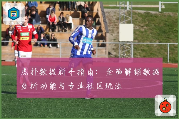 虎扑数据新手指南:全面解锁数据分析功能与专业社区玩法